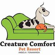 Creature Comfort Pet Resort